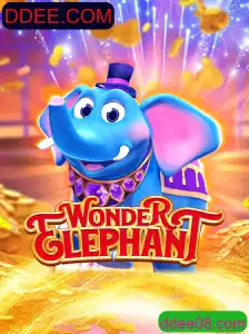 Descubra a Magia do WonderElephant: Uma Jornada Inesquecível
